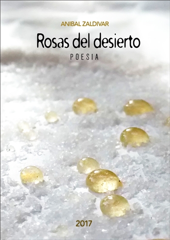 Arturo Carrera y Rosas del desierto